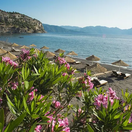 Teras 2, Florya